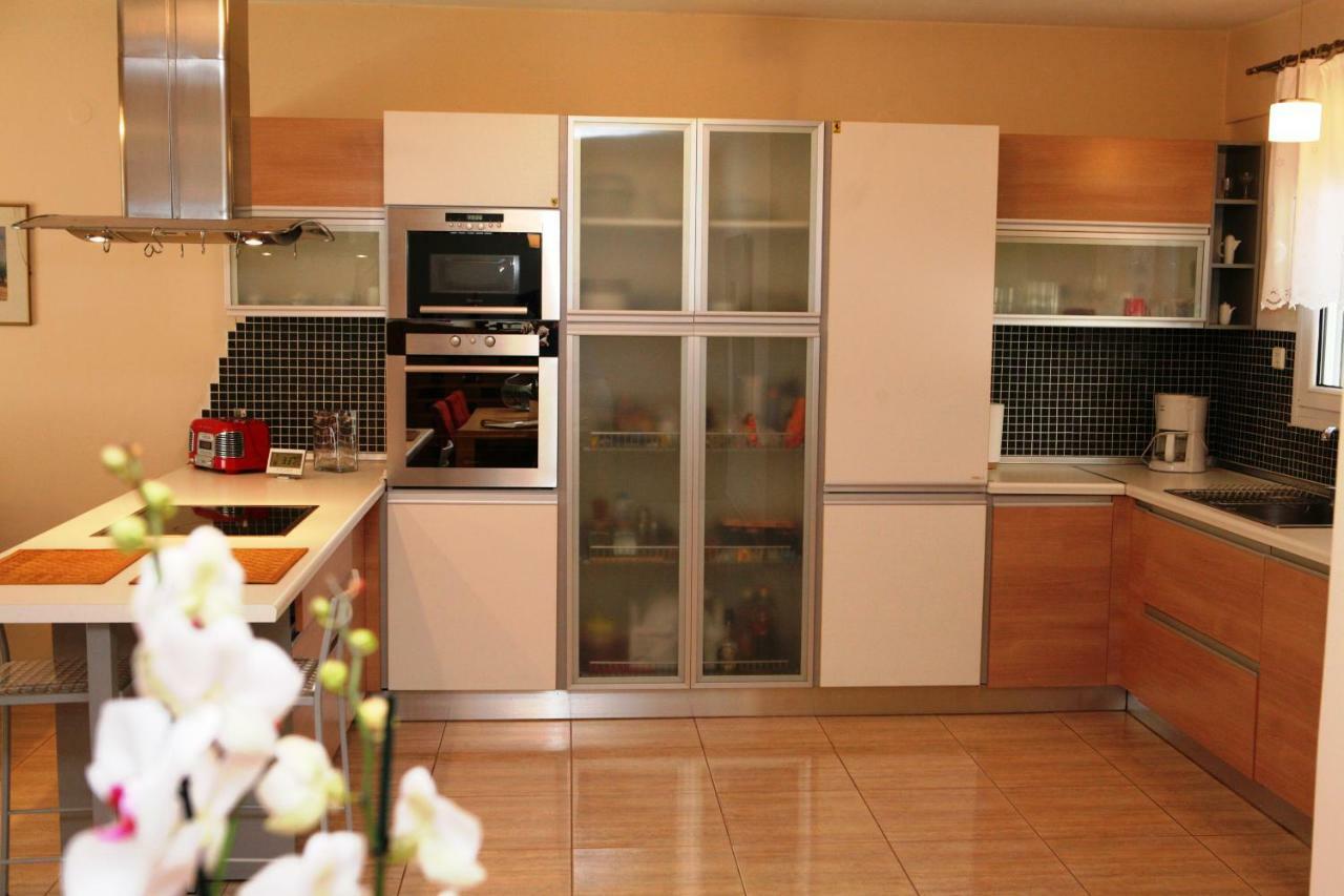 Luxury Sunny Home Near To Water-Park Agia Paraskevi  エクステリア 写真